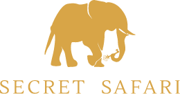 Secret Safari